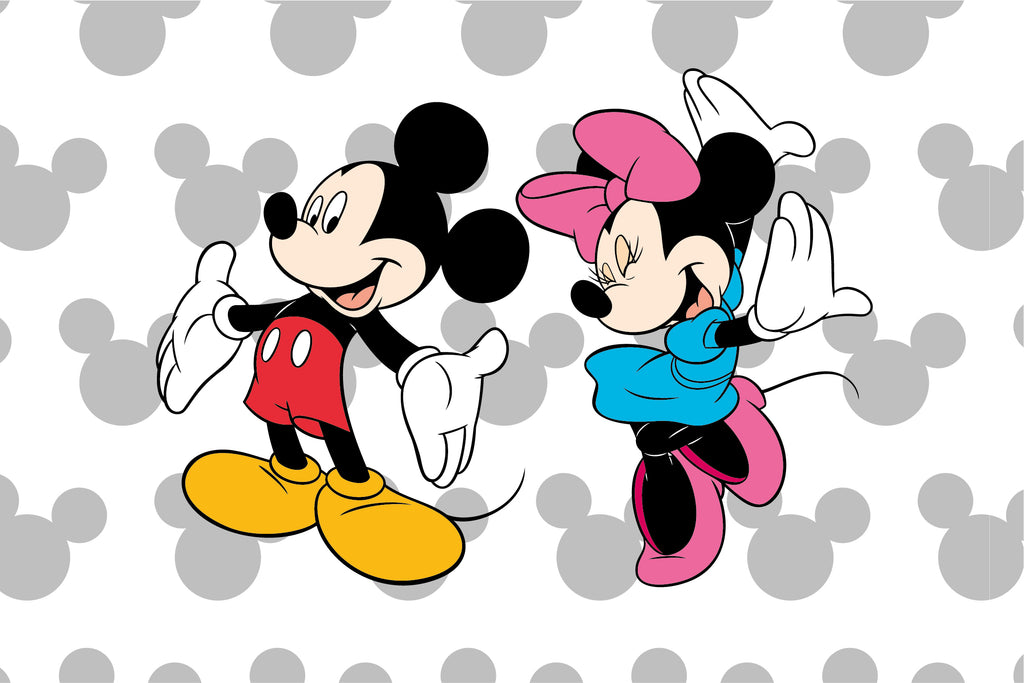 mickey & minnie