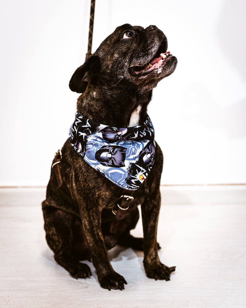 Bandana B&B Black Panther (6626426880133)