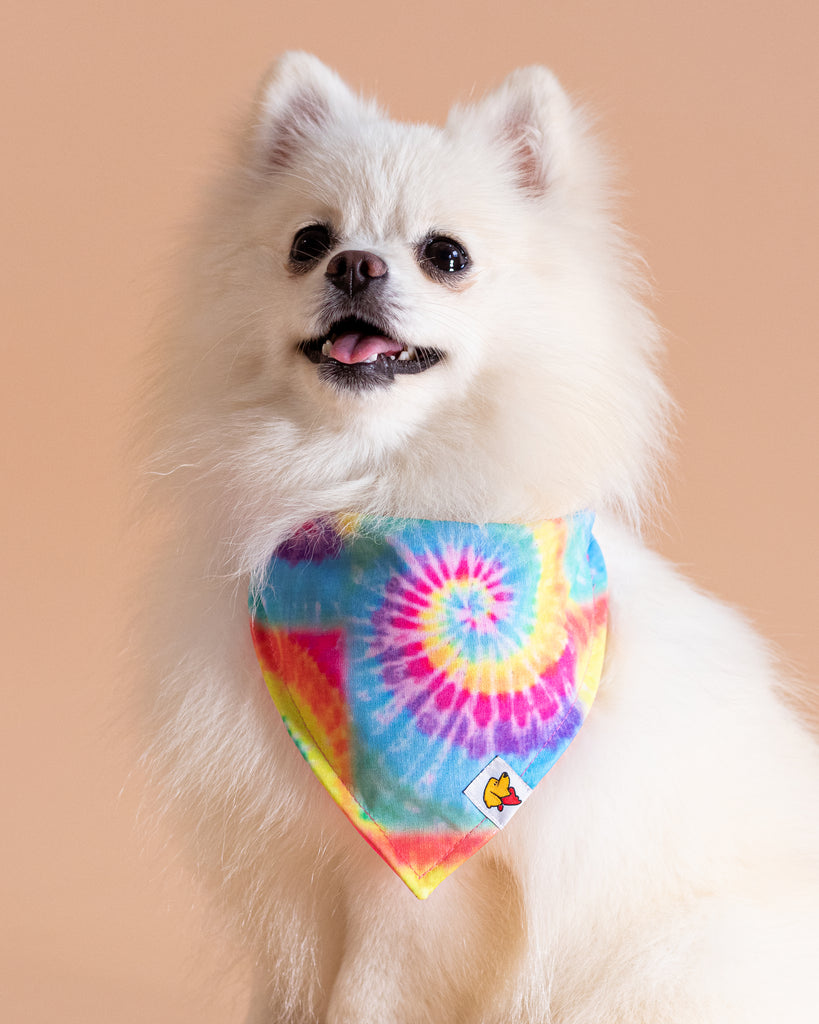 Bandana B&B TieDye (6626440544389)